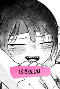 Bölüm 13